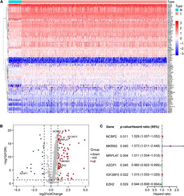 Integrated Analysis of RNA-Binding Proteins Associated With the Prognosis and Immunosuppression in Squamous Cell Carcinoma of Head and Neck